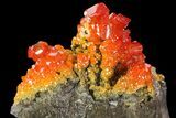 Vibrant Red Vanadinite Crystals on Calcite - Arizona #69203-2